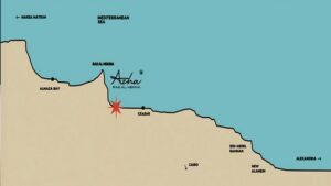 أزهار الساحل الشمالي شركة مدار